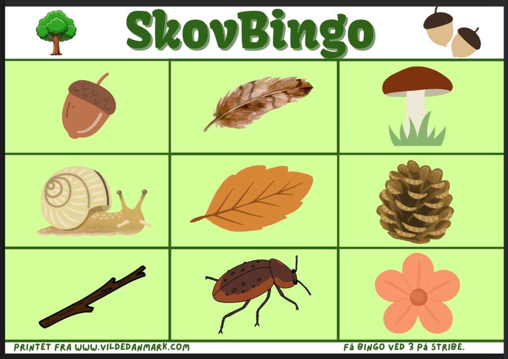 Skovbingo – find ting i skoven