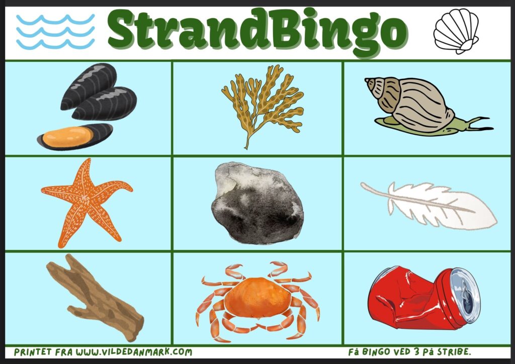 Strandbingo – find ting på stranden