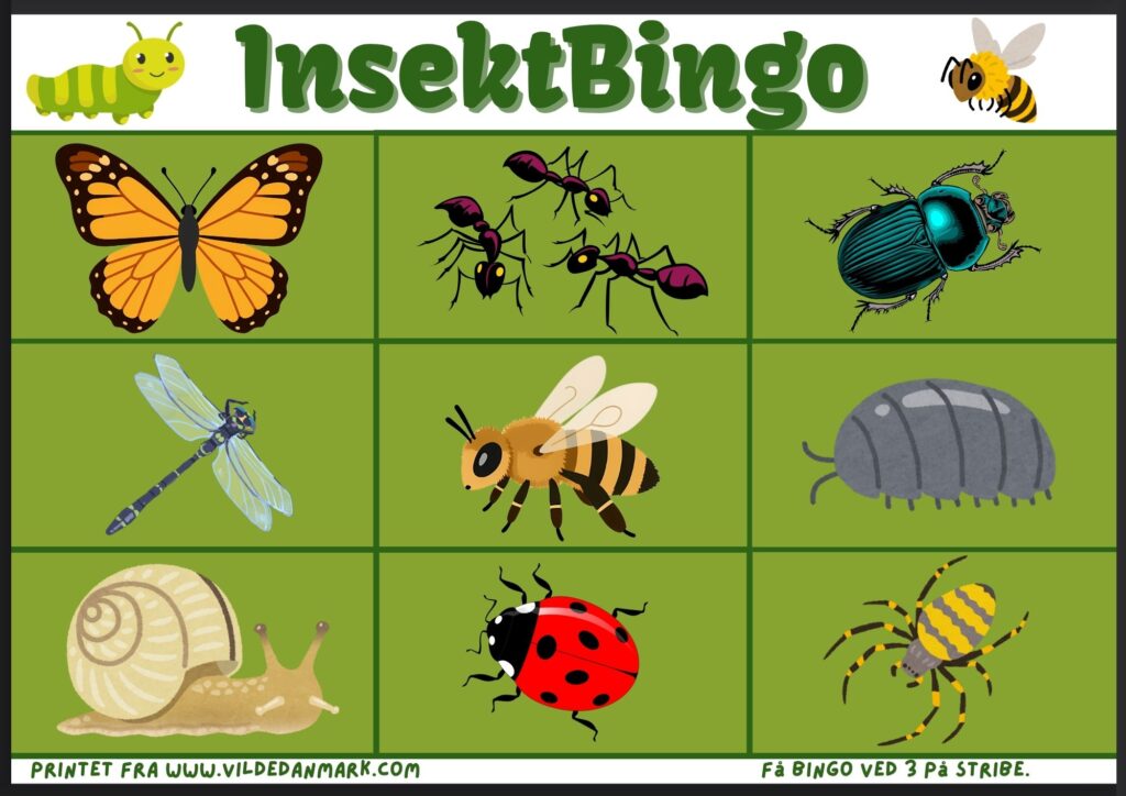 Insektbingo – bingoplade med insekter og smådyr
