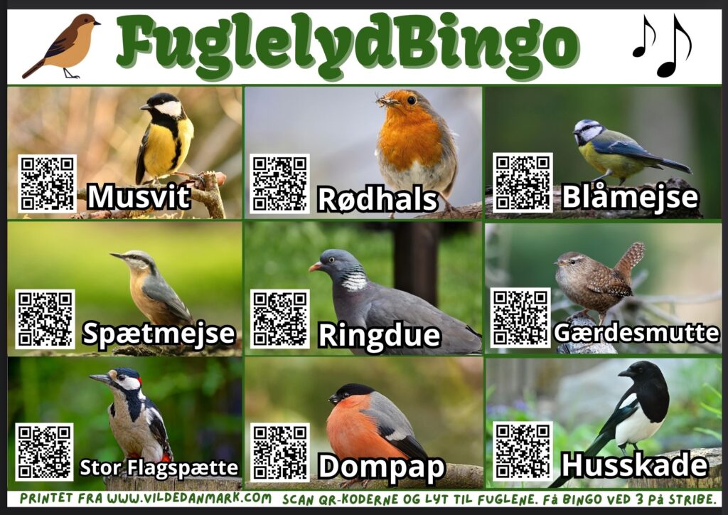 Fuglelydbingo med QR‑koder til fuglestemmer